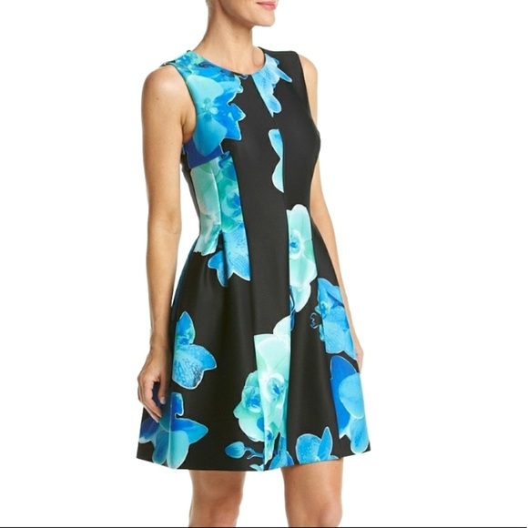 Calvin Klein Blue Floral Print Black Scuba Dress Sleeveless Fit n Flare sz 6 8 - Picture 1 of 16